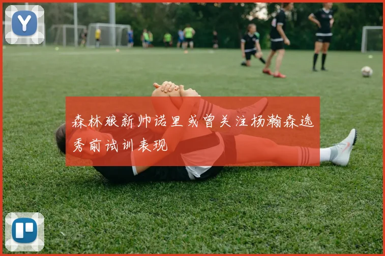 森林狼新帅诺里或曾关注杨瀚森选秀前试训表现