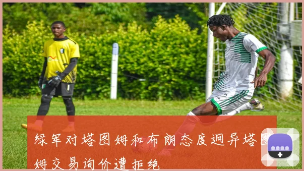 绿军对塔图姆和布朗态度迥异塔图姆交易询价遭拒绝
