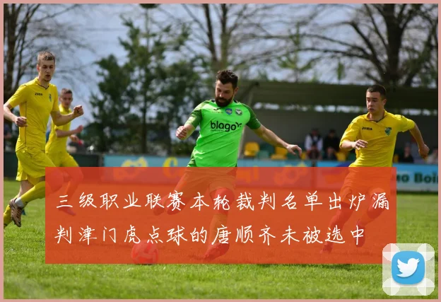 三级职业联赛本轮裁判名单出炉漏判津门虎点球的唐顺齐未被选中